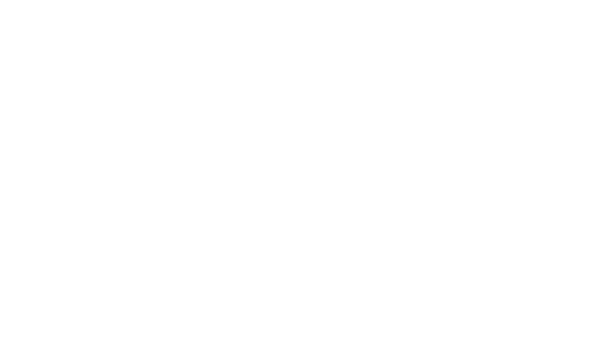 Firewire Surfboards - United States logo