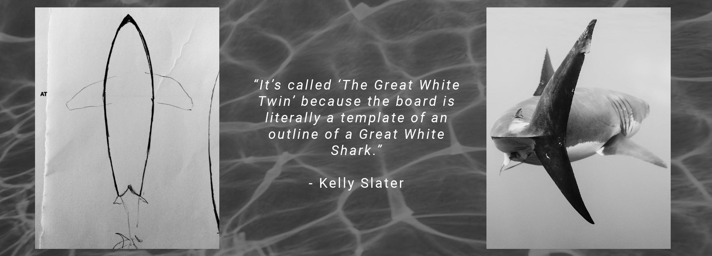 Firewire Great White Twin, historia del nombre