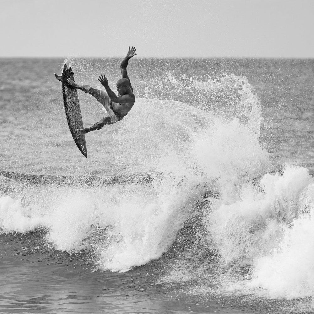 Firewire Great White Twin detalle