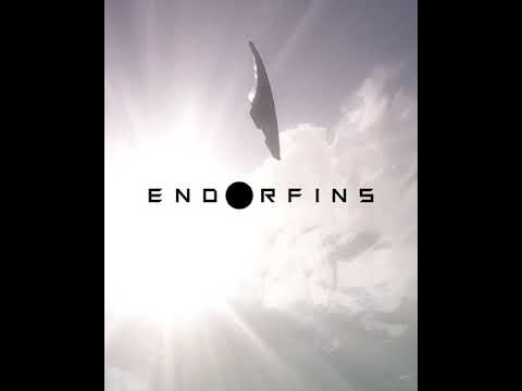 Endorfins KS1 5 Fin Set - Large